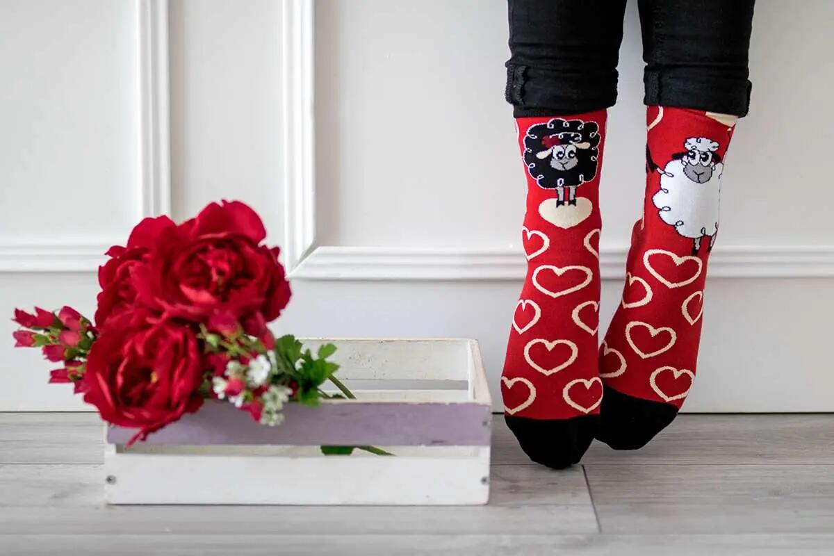 4 pár Arty Socks Szerelmes bárányka  pamut zokni ajándékdobozban 5/9