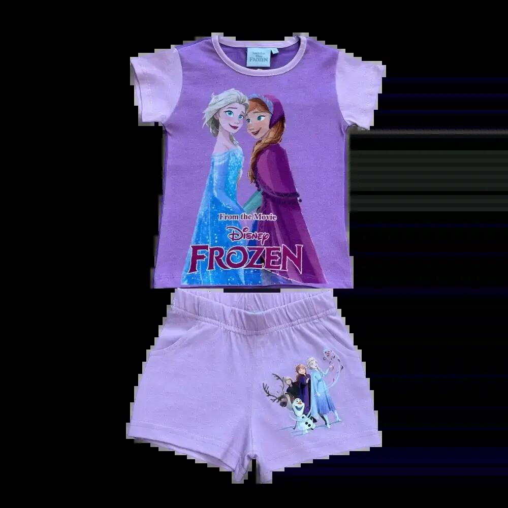 DISNEY FROZEN picture