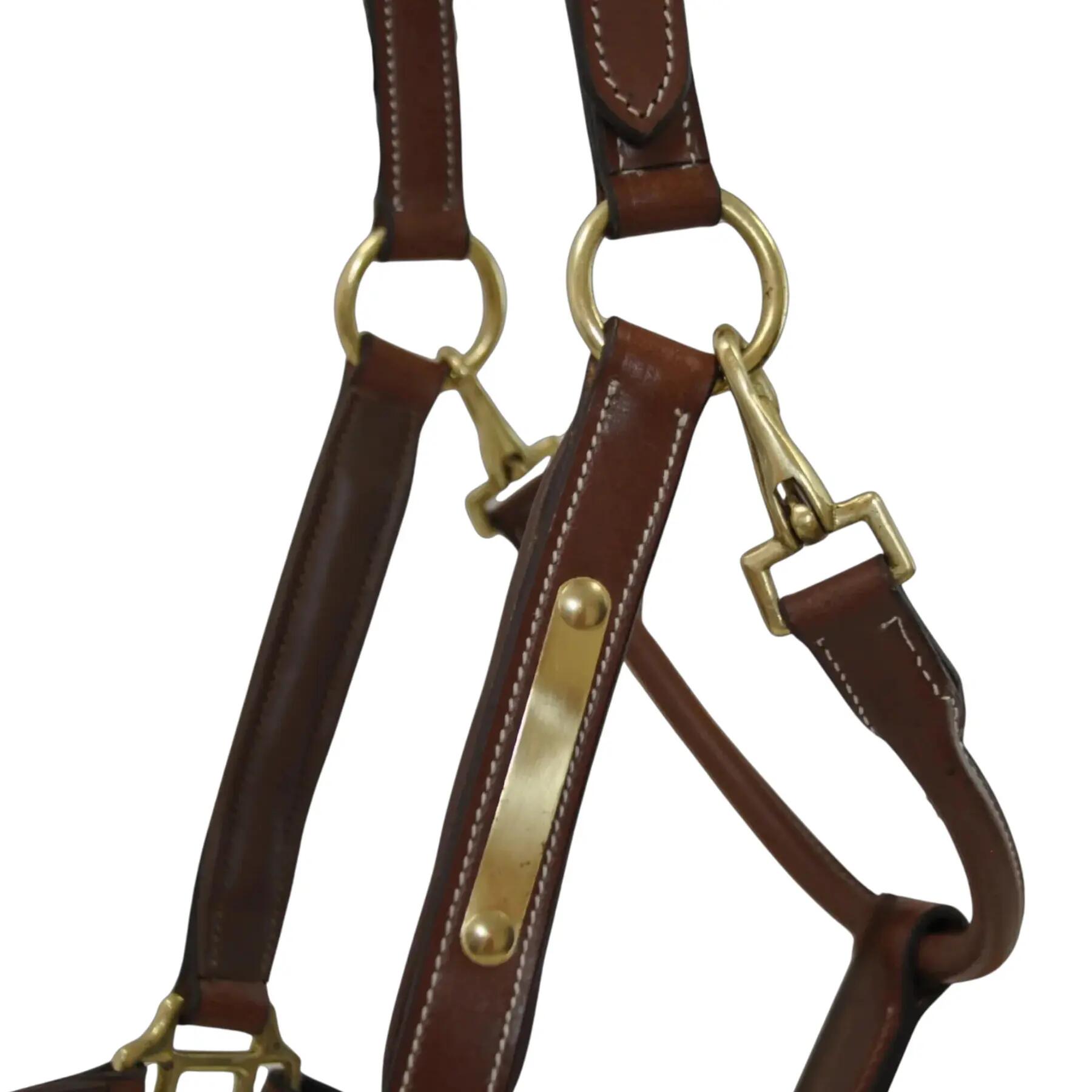 Filete para caballo de cuero con placa T de T 2/7