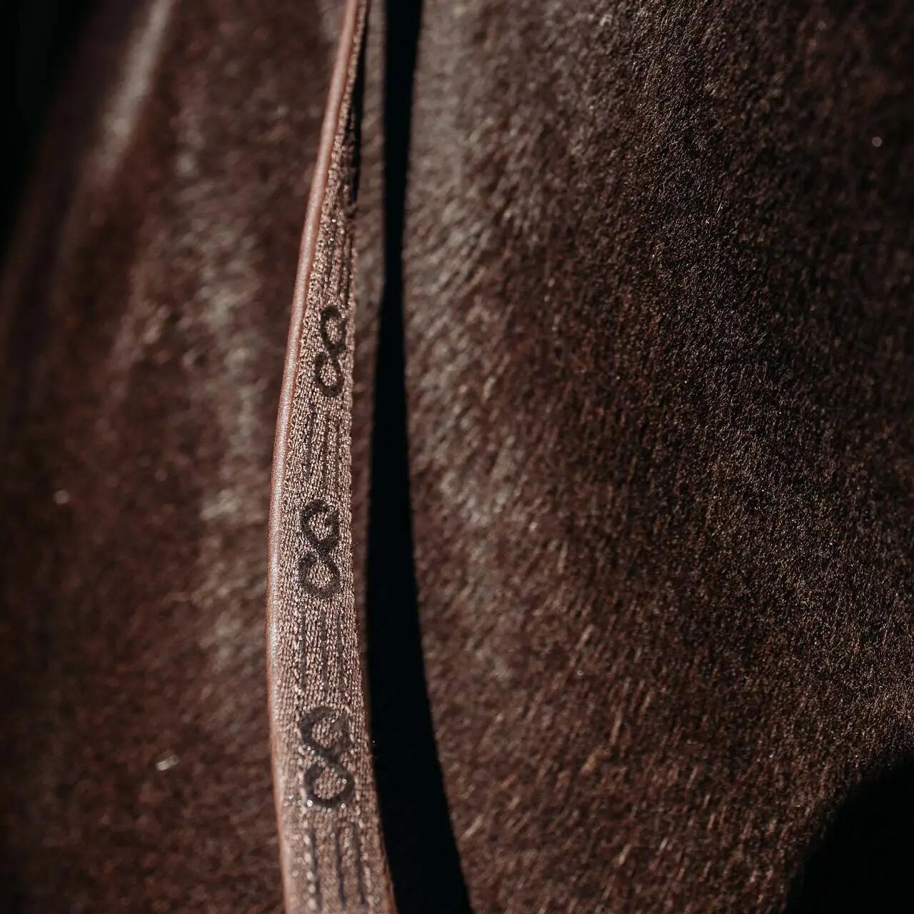Redini per cavalli con clip Presteq FaySport 2/3