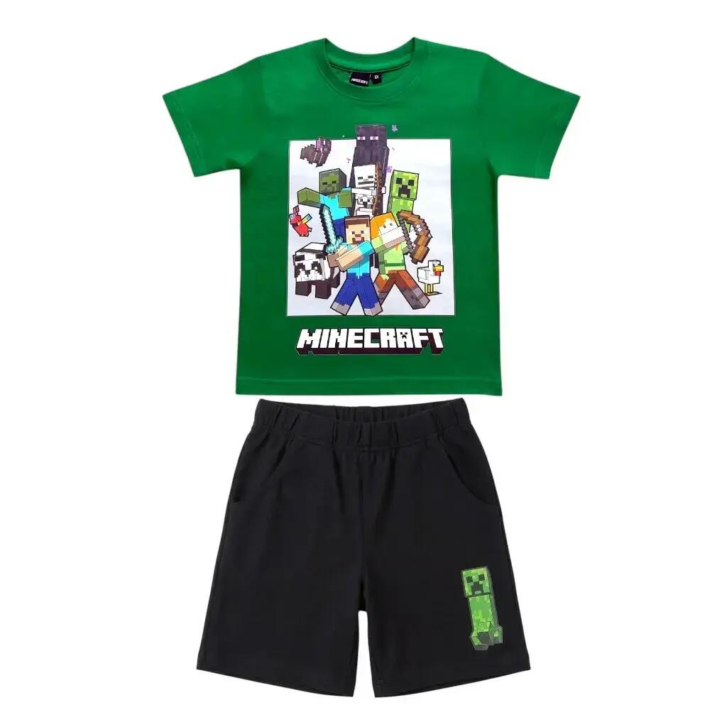 MINECRAFT picture