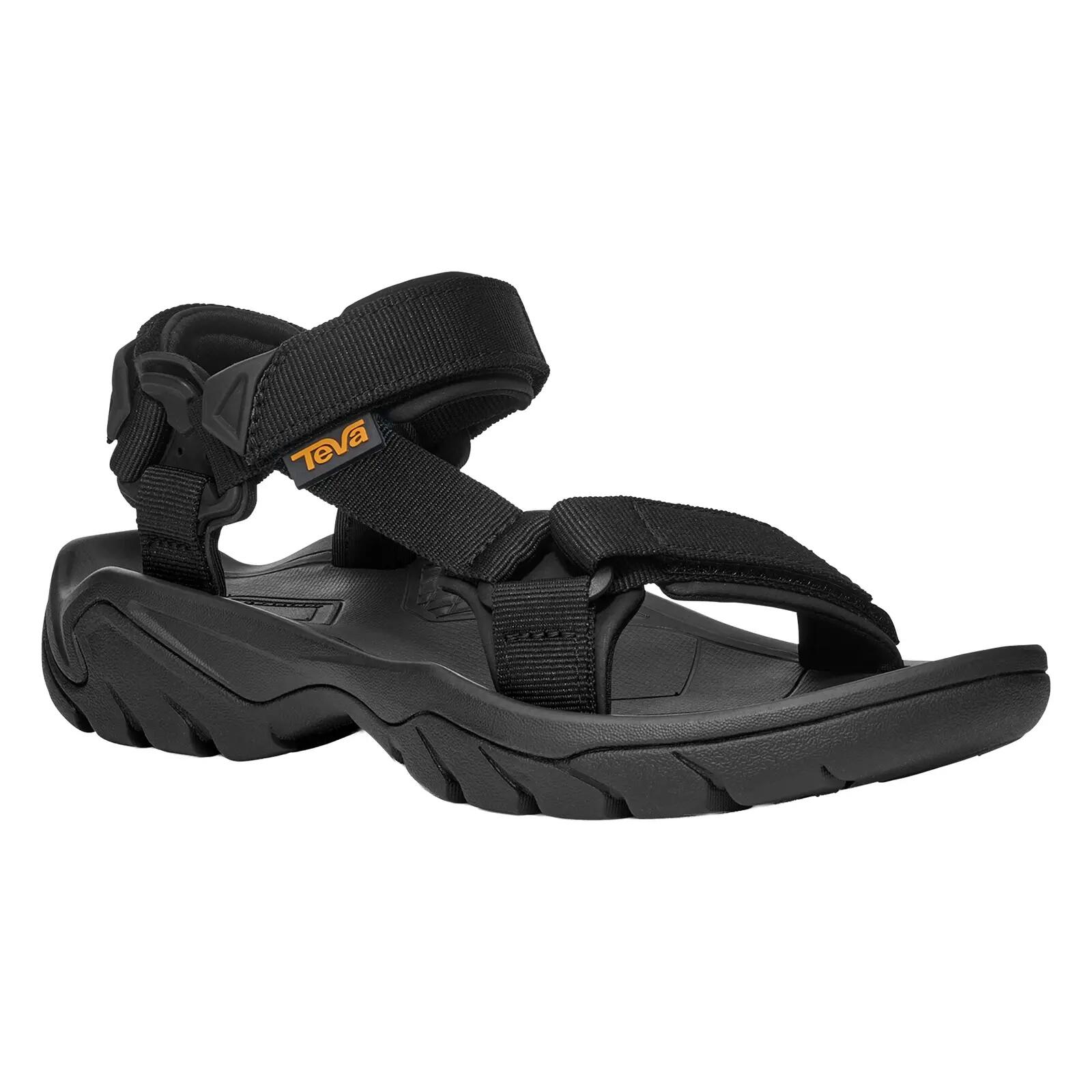 TEVA picture