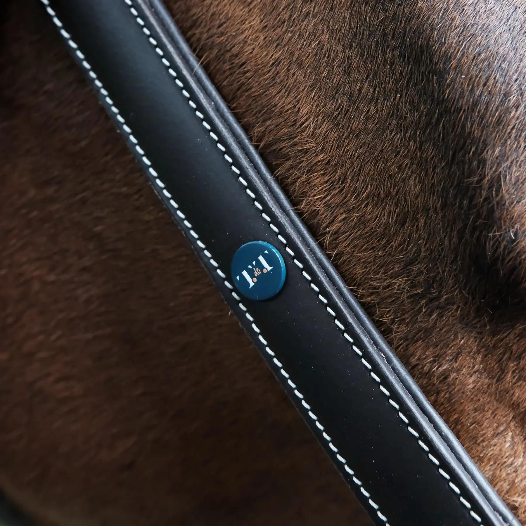 Filete para caballo de cuero con placa T de T 5/6