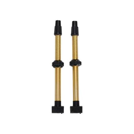 Valve Presta BTI-159 48 mm en laiton tubeless (lot de 2)