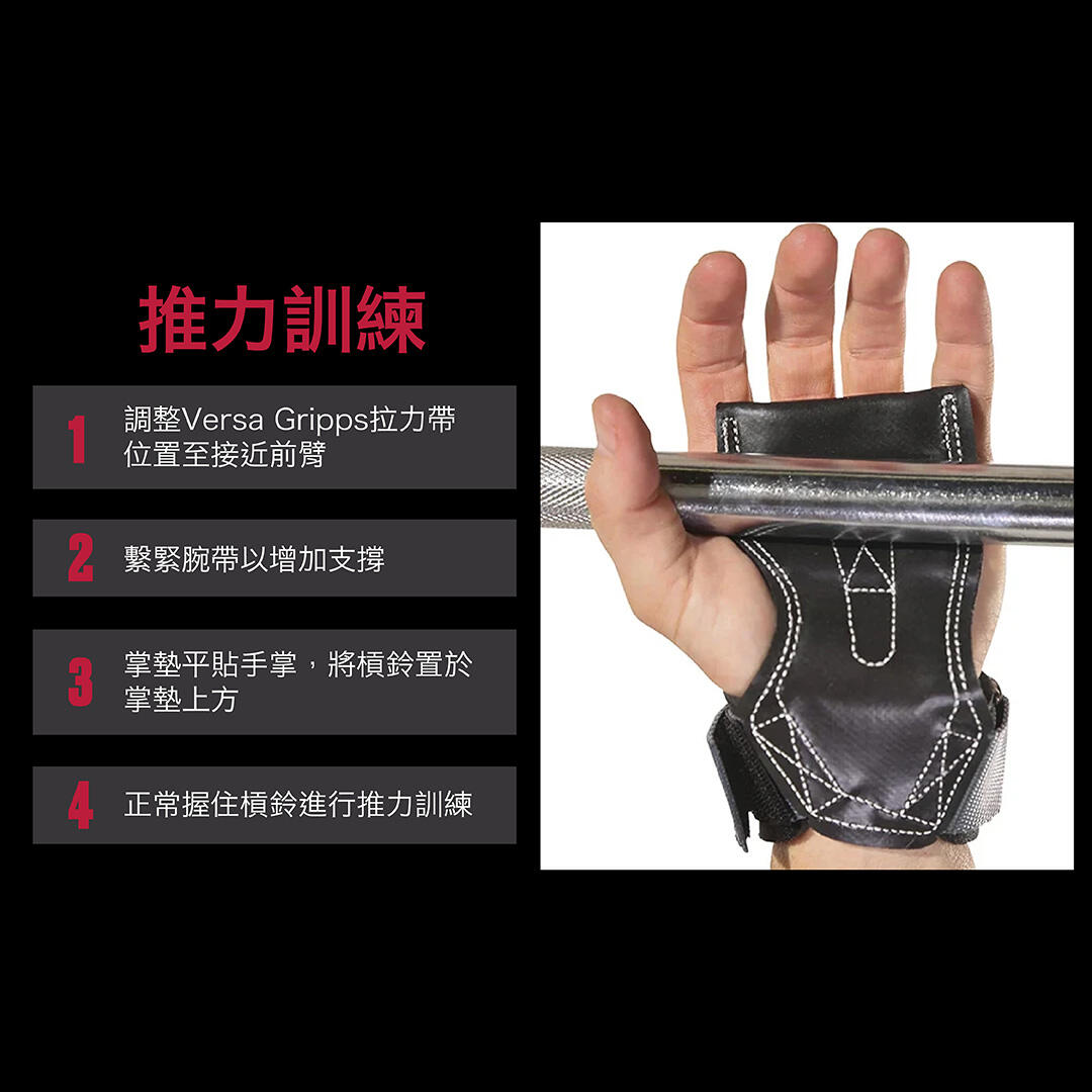 Versa Gripps Pro Series Gloves - Purple