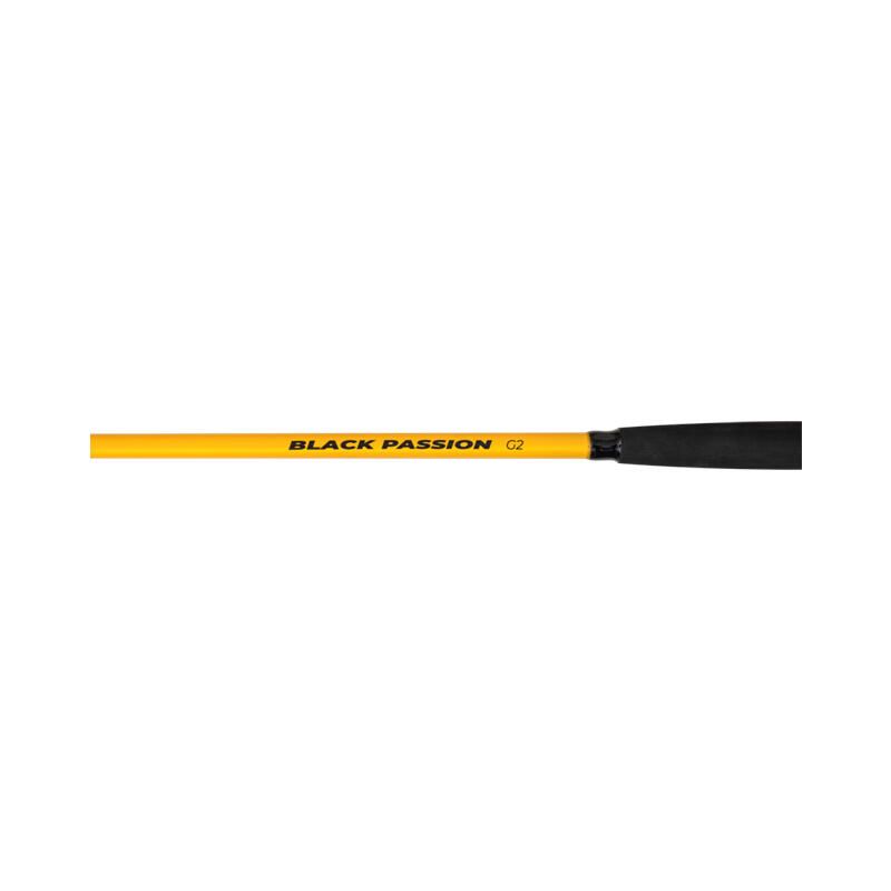 Canne Black Cat Passion G2 Allround C.W 3/4
