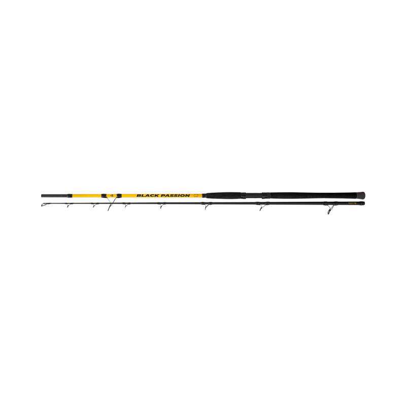 Canne Black Cat Passion G2 Allround C.W 2/4