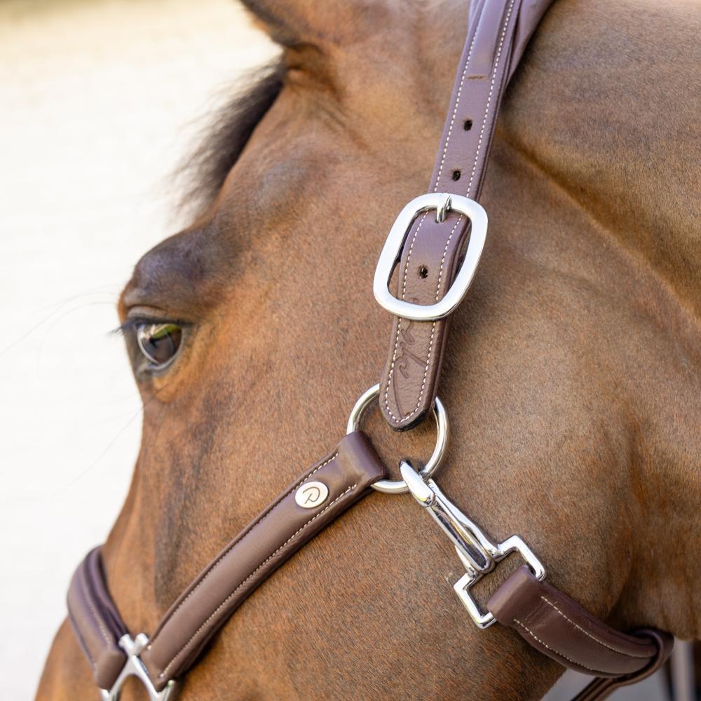 Dy\'on Zacht Lederen Halster Bruin -