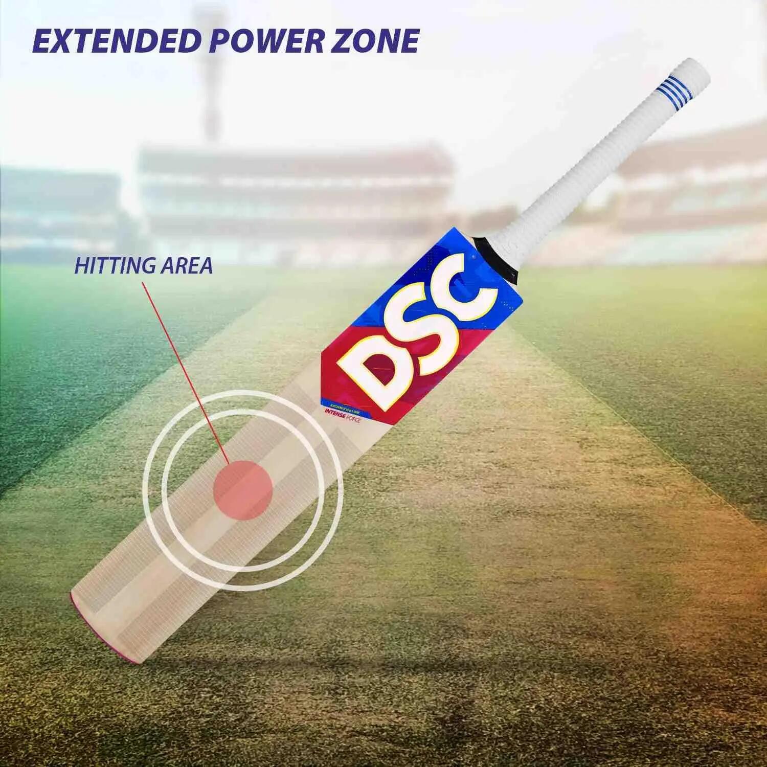 DSC Intense Force Kashmir Willow Cricket Bat | Farbe: Multicolor 2/6
