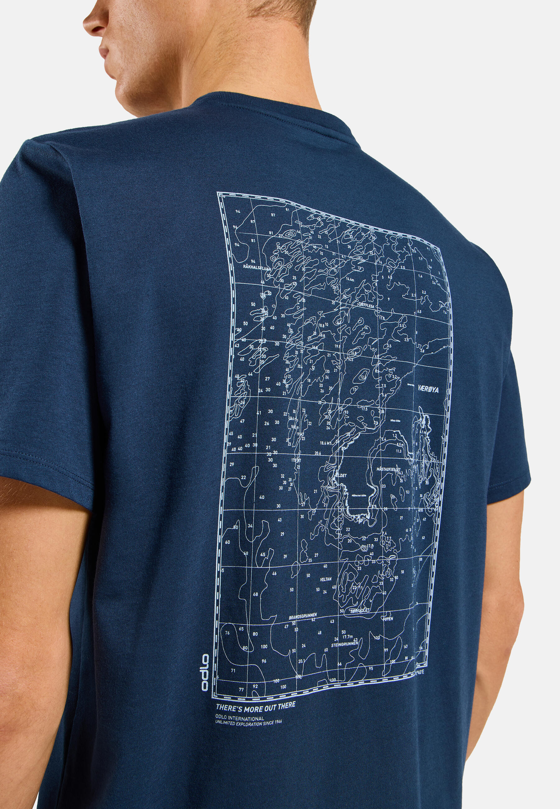 Koszulka z krótkim rękawem męska ODLO T-shirt crew neck s/s COTTON BLEND 5/7