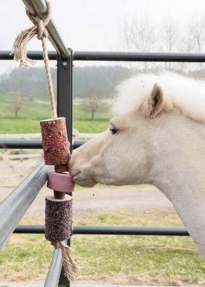 KENTUCKY HORSEWEAR picture