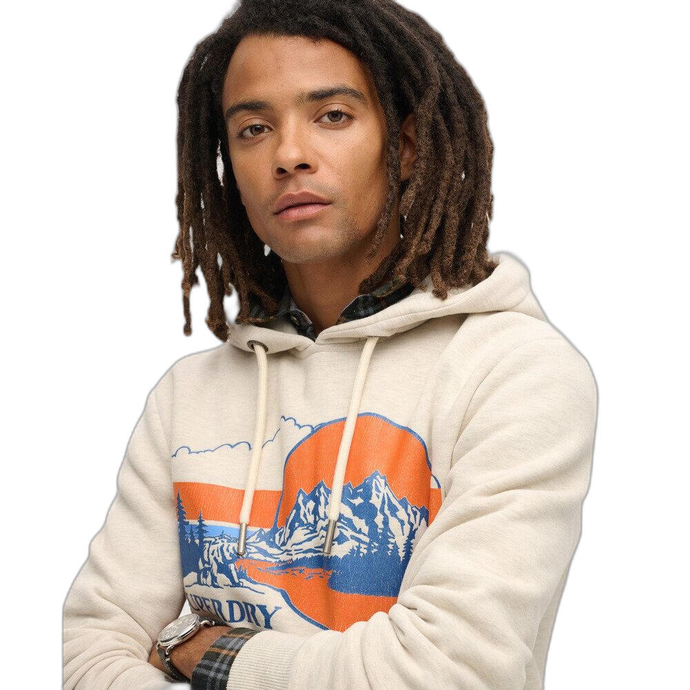 Felpa con cappuccio a righe con motivo Superdry 5/7