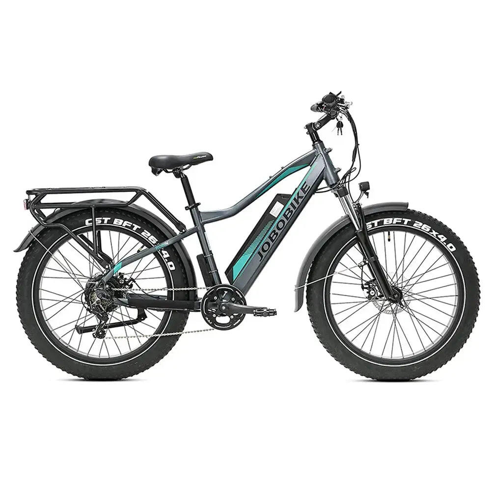 JOBOBIKE picture