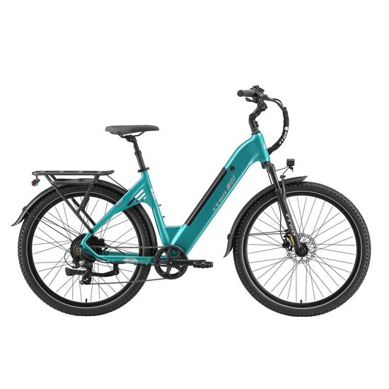 Elektrische stadsfiets voor volwassenen TTGO C5 250W motor 48V 13.5Ah accu
