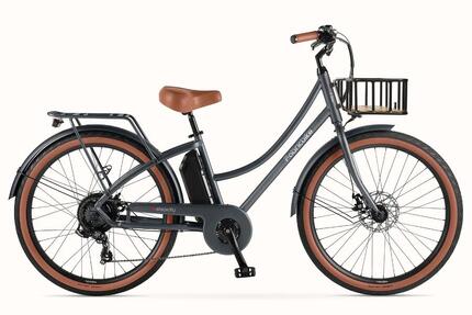 E-Stepcity Vélo Électrique - 250W, 36V, 60 km, Shimano 7V. Graphite