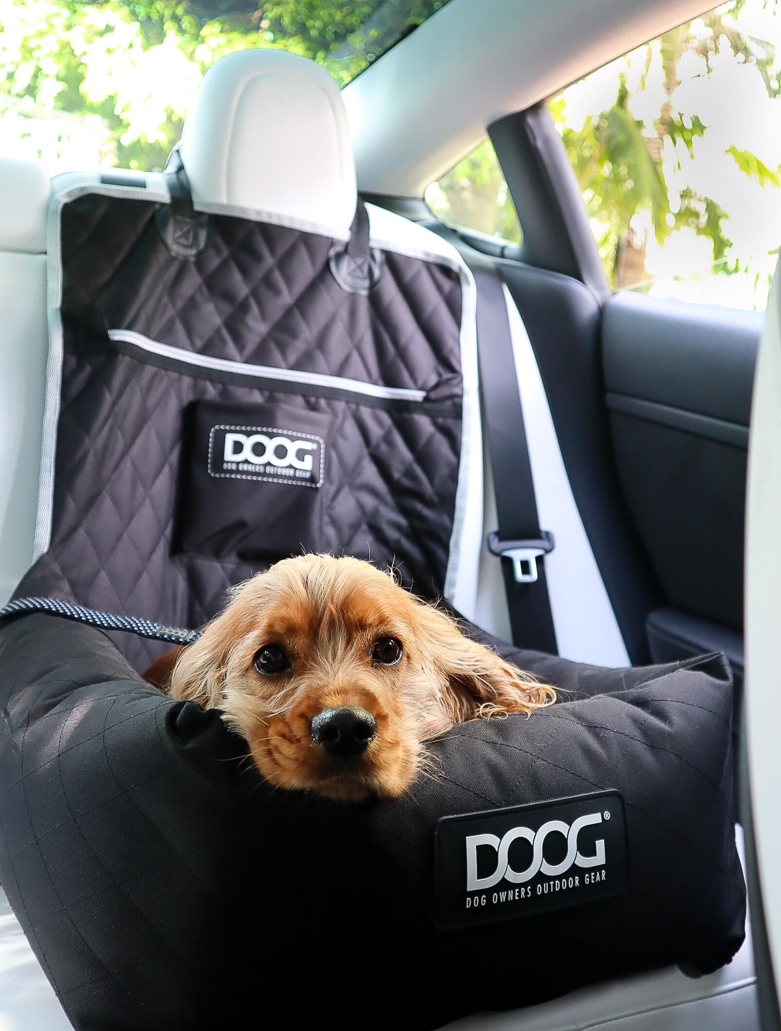 Transportin para asiento de coche color negro 5/7