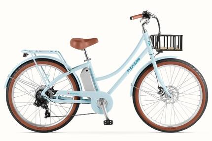 E-Stepcity Vélo Électrique - 250W, 36V, 60 km, Shimano 7V. Graphite