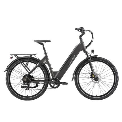 Elektrische stadsfiets voor volwassenen TTGO C5 250W motor 48V 13.5Ah accu