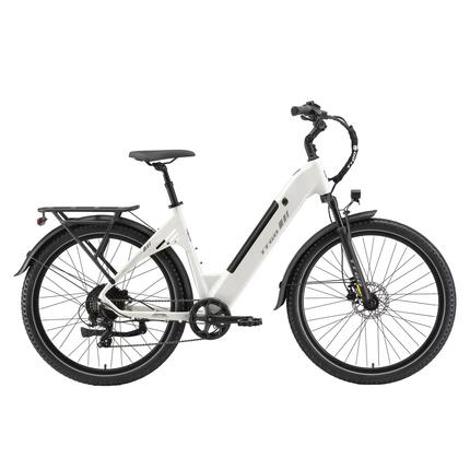 Elektrische stadsfiets voor volwassenen TTGO C5 250W motor 48V 13.5Ah accu