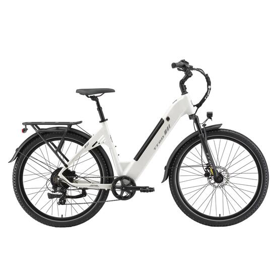 Elektrische stadsfiets voor volwassenen TTGO C5 250W motor 48V 13.5Ah accu