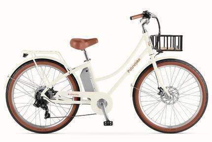 E-Stepcity Vélo Électrique - 250W, 36V, 60 km, Shimano 7V. Graphite