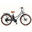 E-Stepcity Bicicletă Electrică – 250W, 36V, 60 km, Shimano 7V. Graphite