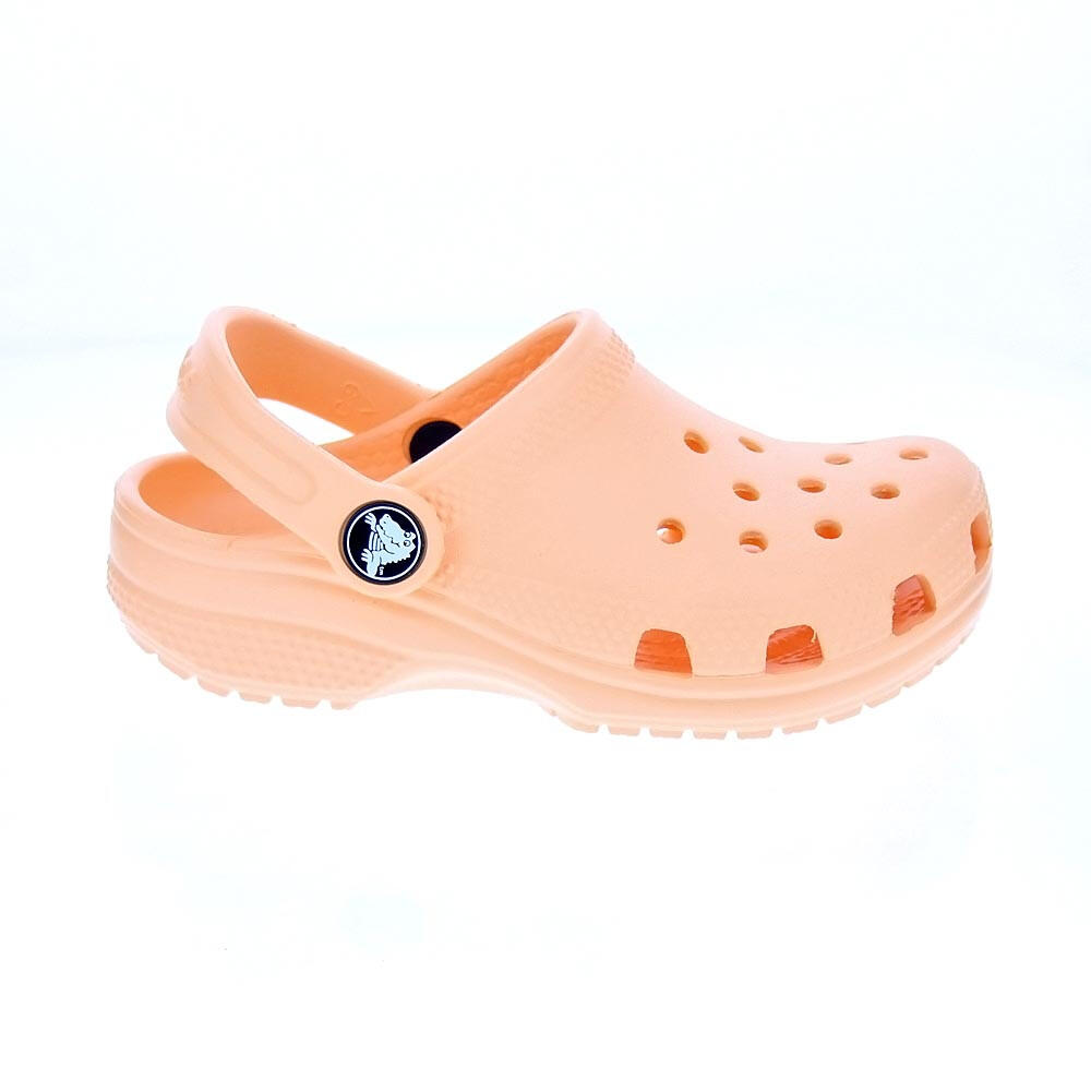 CROCS picture