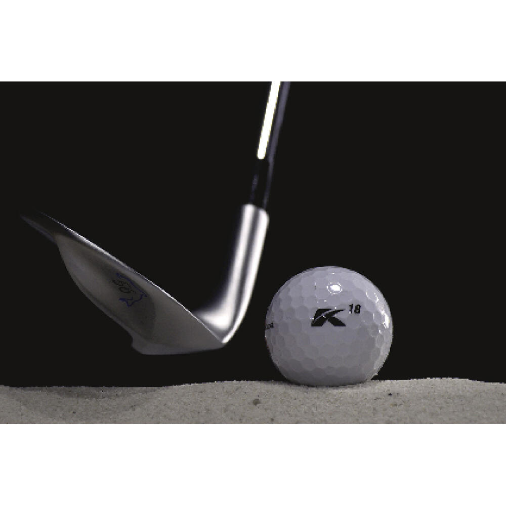 Kasco DW-125G Dolphin Wedge Iron Shaft 56°