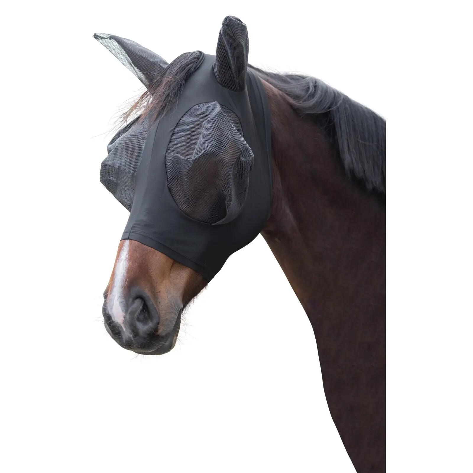 COVALLIERO picture