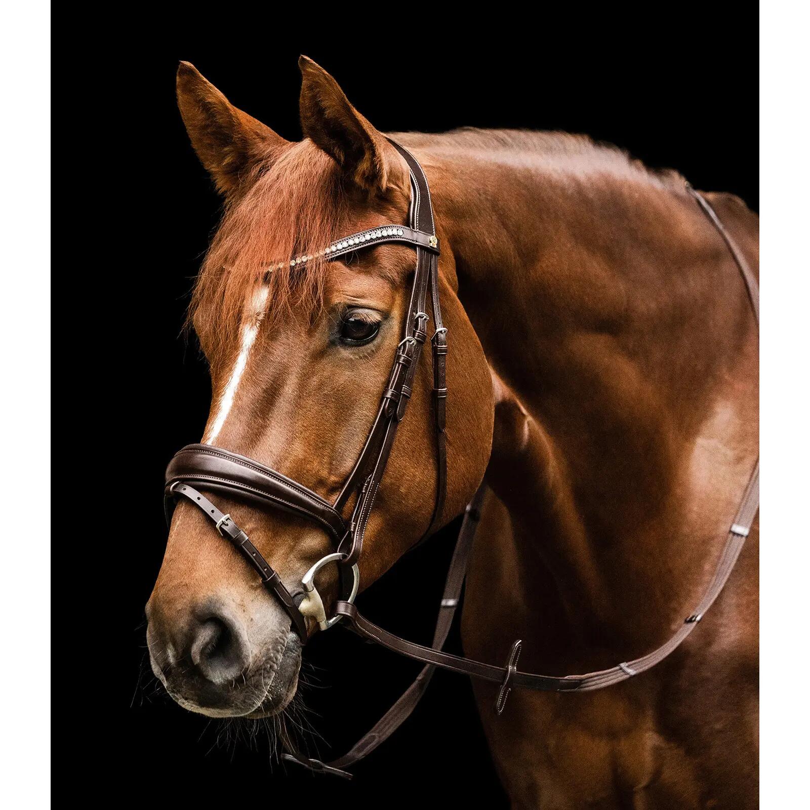 Briglia combinata da equitazione con nasello Waldhausen S-Line Essential 4/4