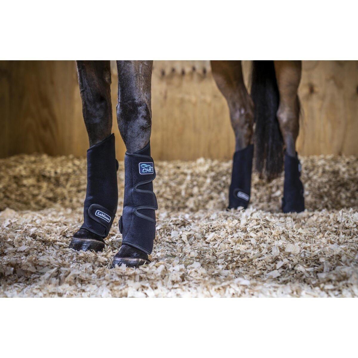 Verkoelende beenkappen voor paarden LeMieux 6/7