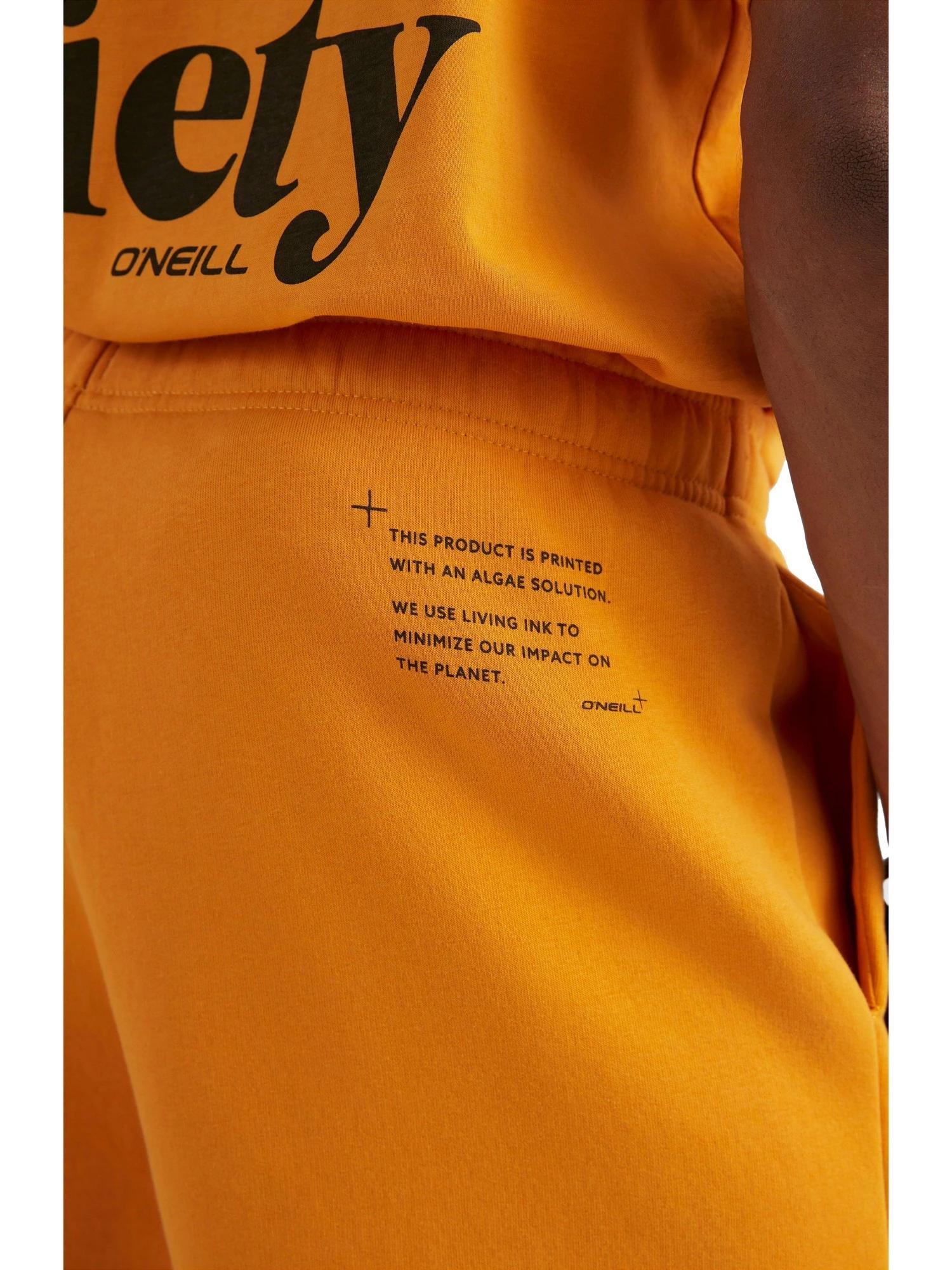 O'NEILL O'neill Shorts FUTURE SURF SHORT  Hommes Nugget 4/7