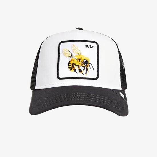 Casquette Goorin Bros The Busy Bee Dust