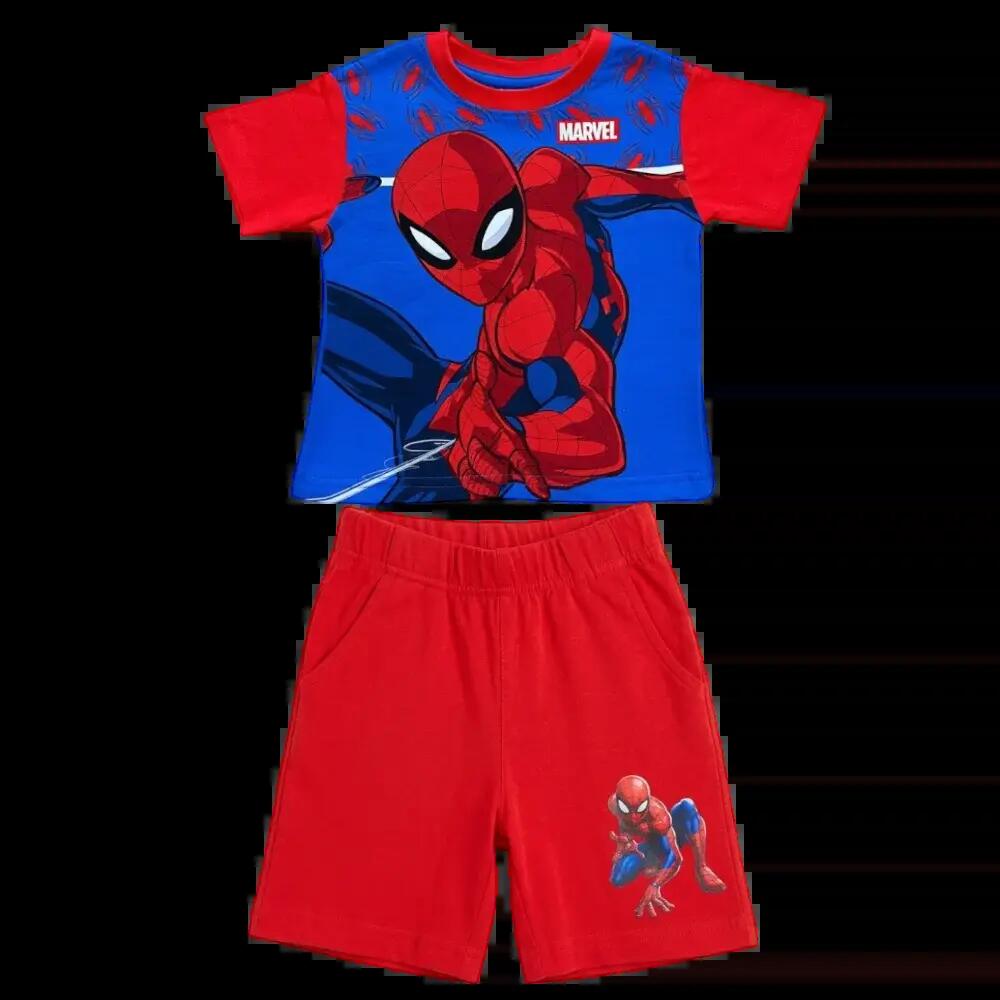 SPIDERMAN picture