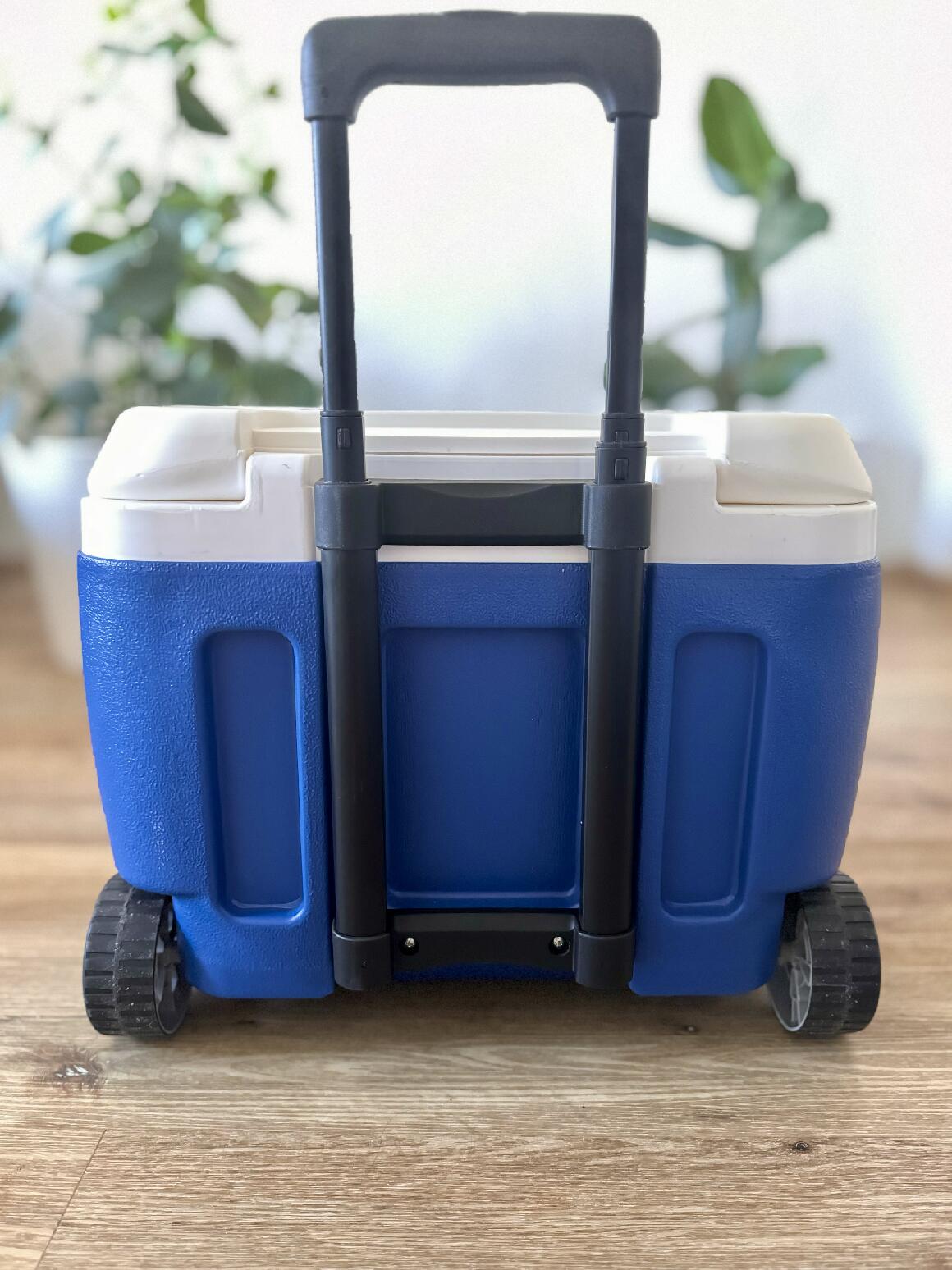Termobox Pinnacle Prudence 30L 5/7