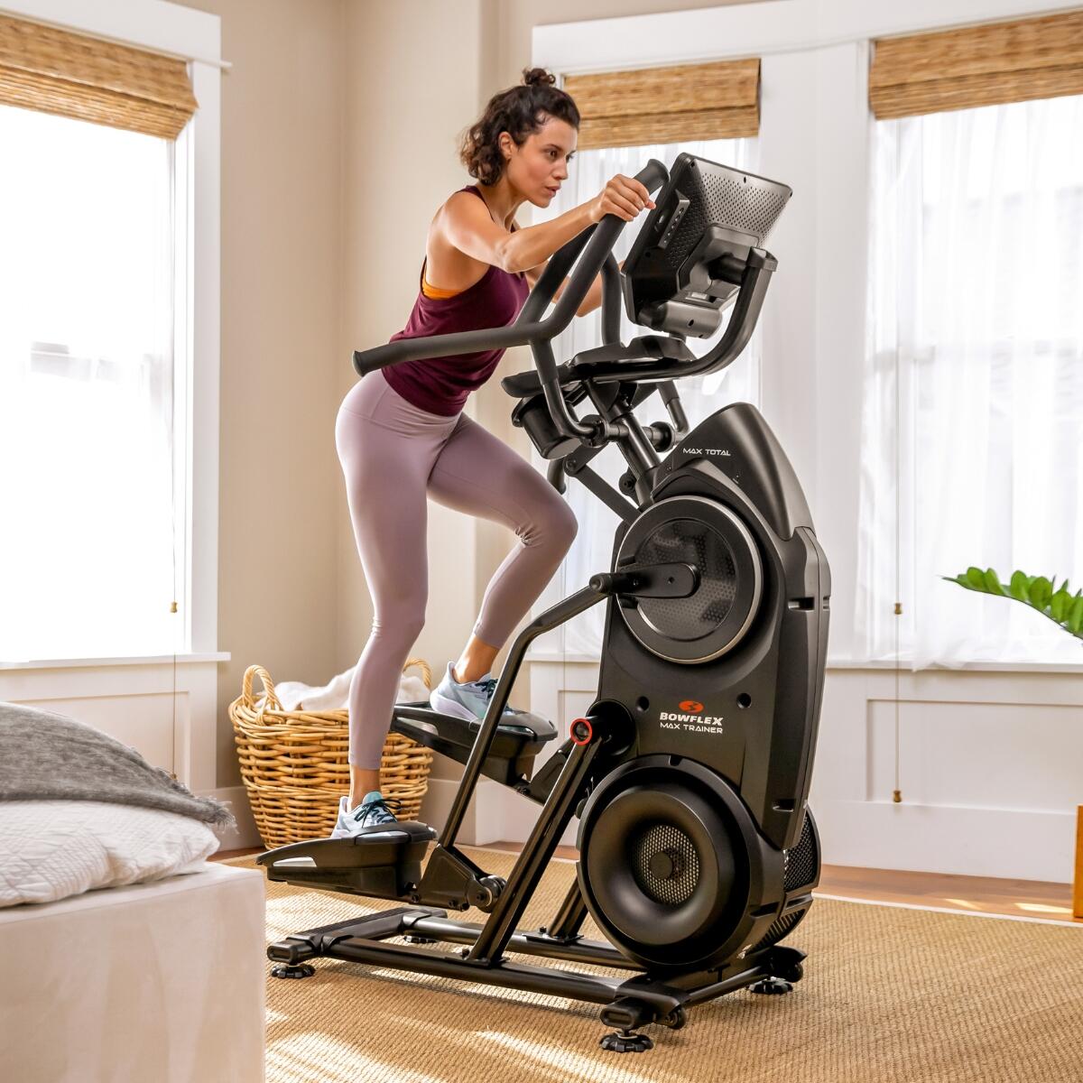 BOWFLEX picture