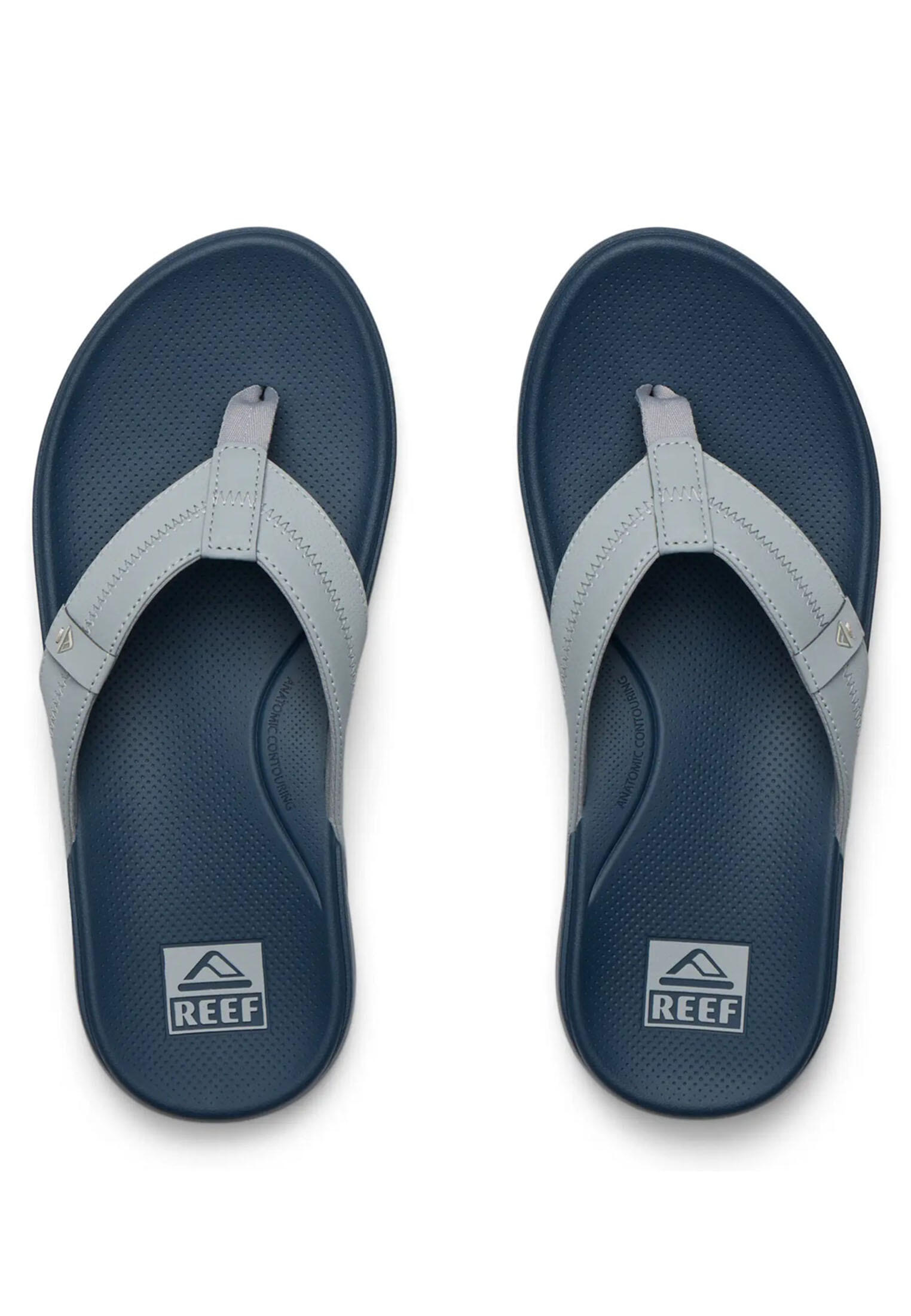 REEF picture