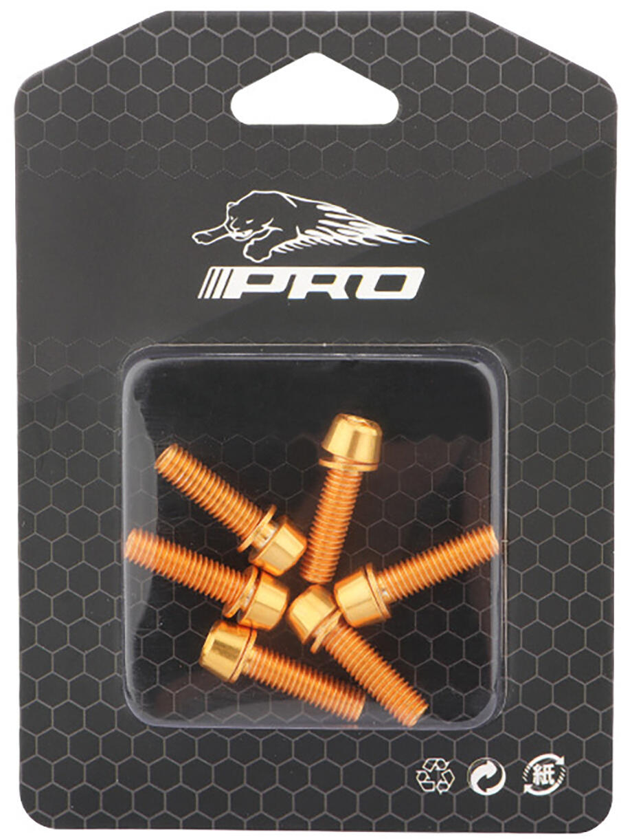 Śruby do wspornika kierownicy Meroca III Pro M5*18mm złote 6 szt