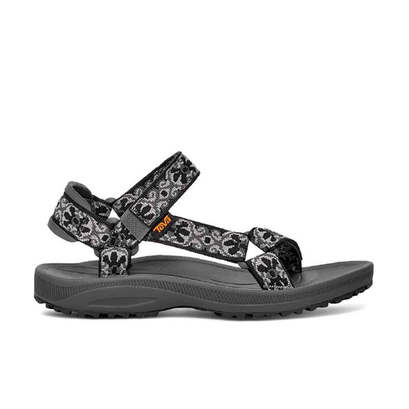TEVA picture