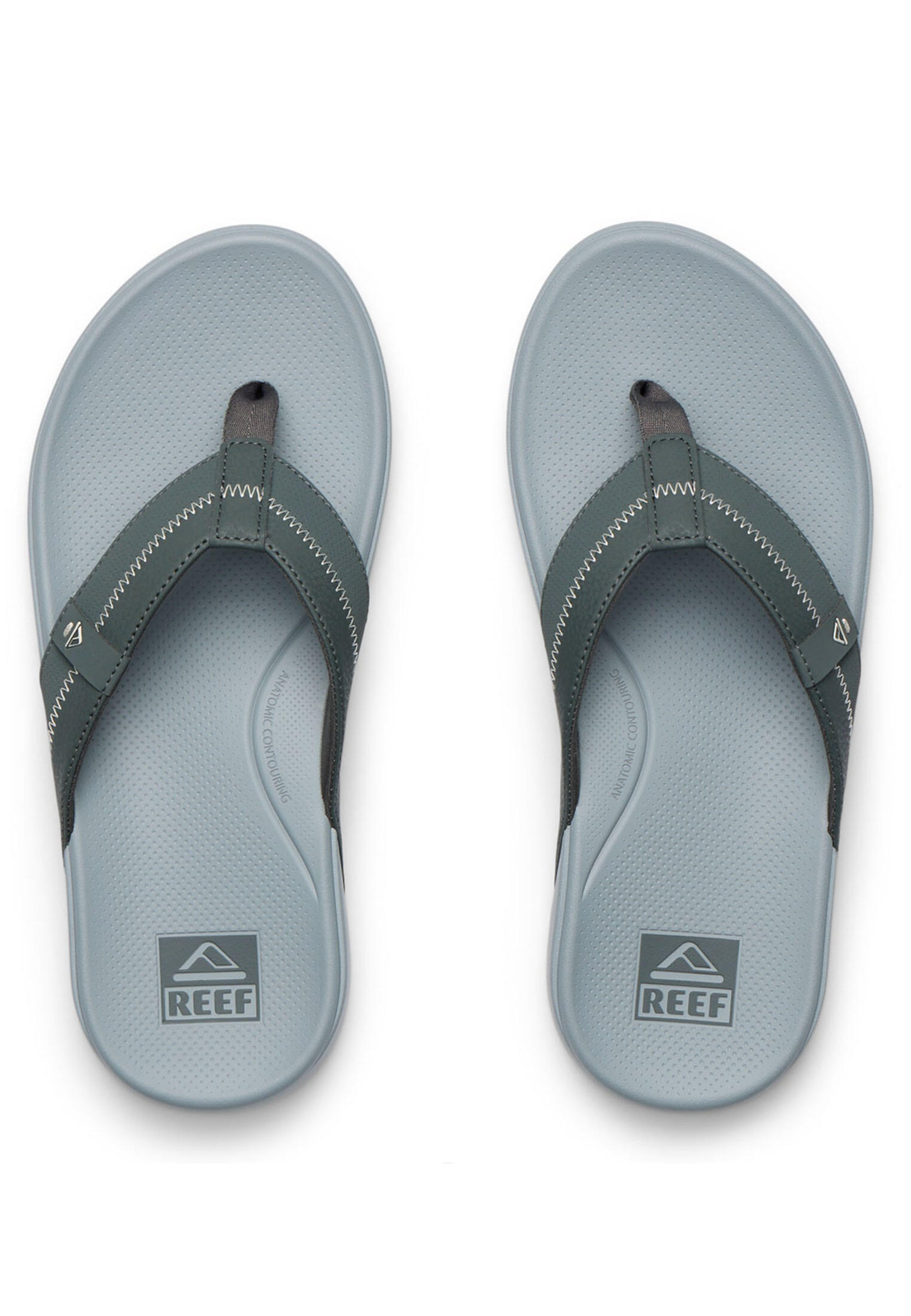 REEF picture