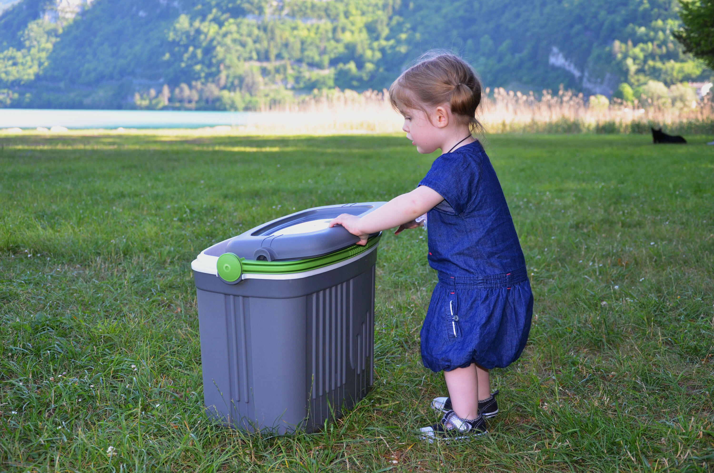 Termobox EDA ICEBERG 32 L 2/2