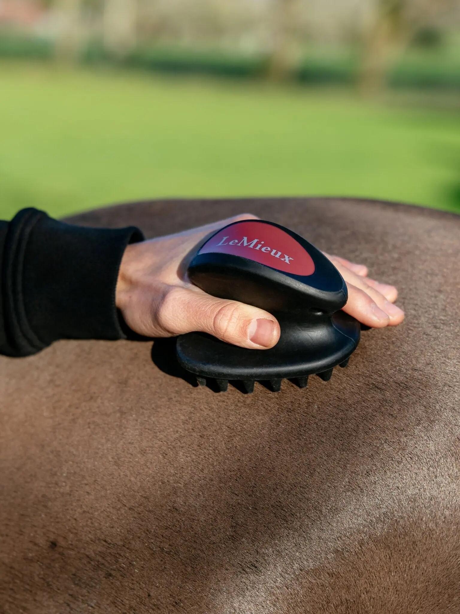 Lemieux Massage Brush Zwart - 2/2