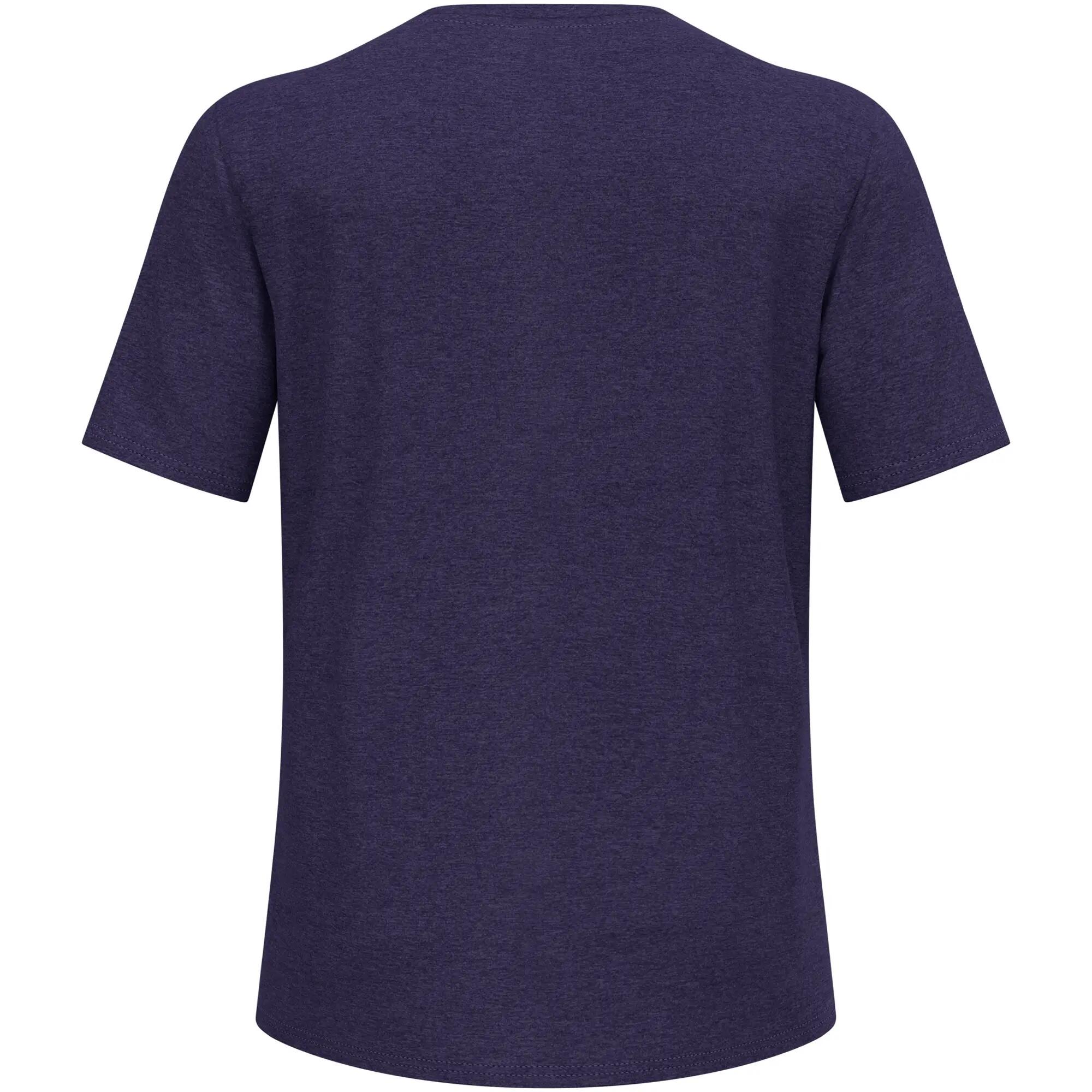 Koszulka męska Odlo ASCENT SUN. SEA. MOUNTAINS. T-shirt crew neck s/s 6/6