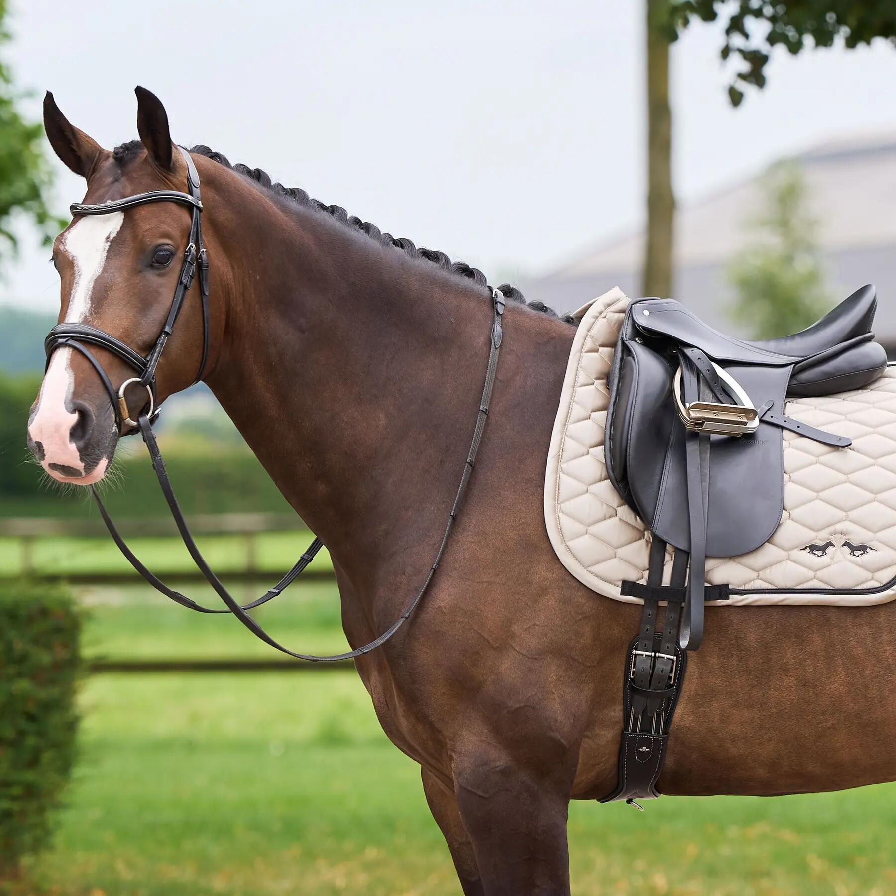 Sottosella dressage HV Polo Joan GP 3/3