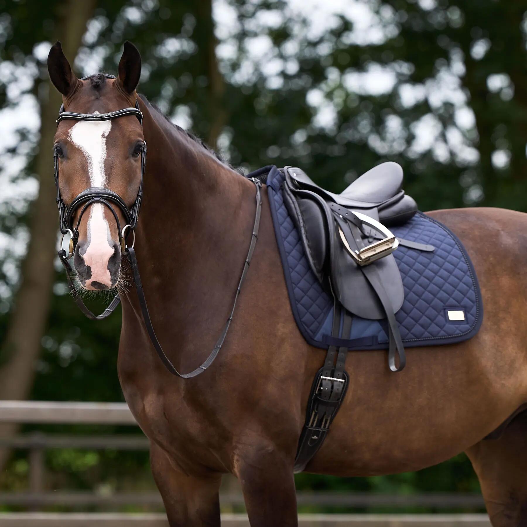 Sottosella dressage HV Polo Pro performance GP 3/3