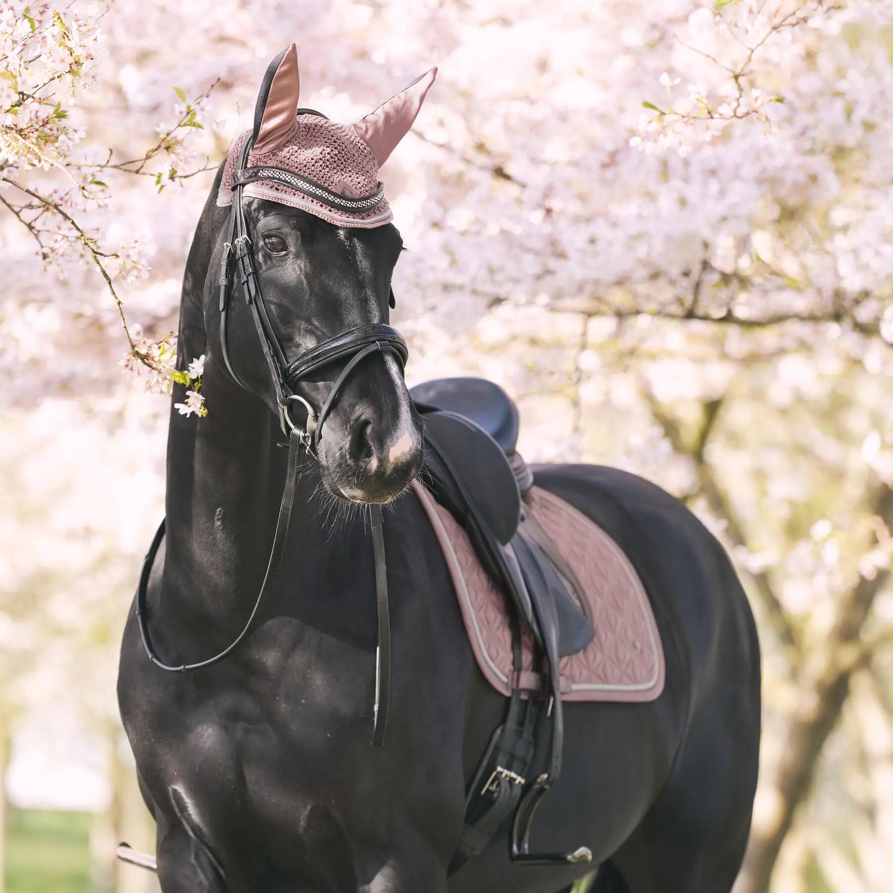 Tapis de dressage Imperial Riding pour cheval Riding Lenny 3/3