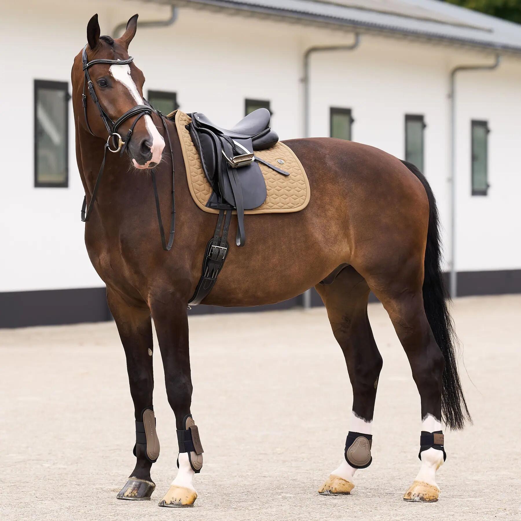 Sottosella dressage HV Polo Essential DR 2/3