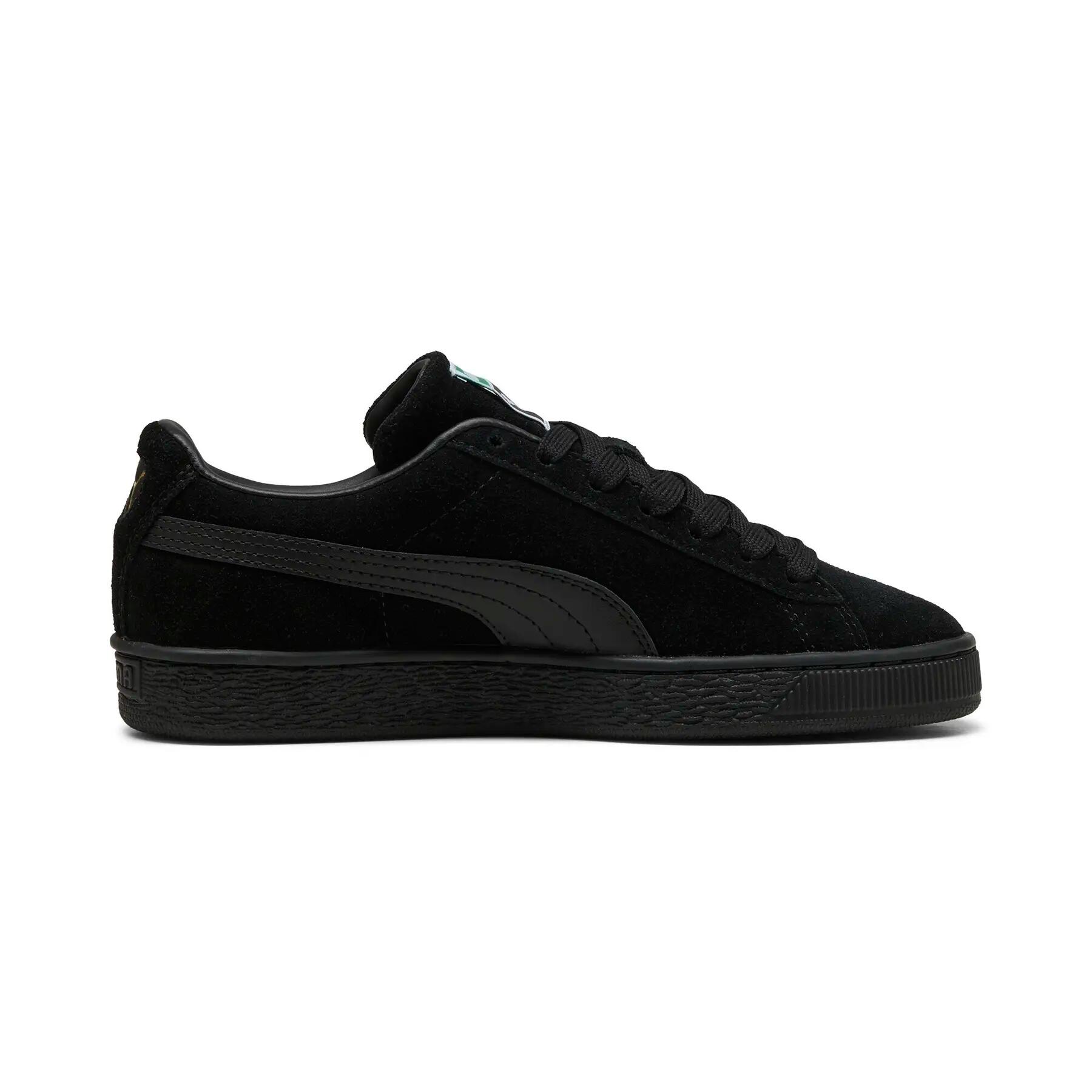 PUMA picture