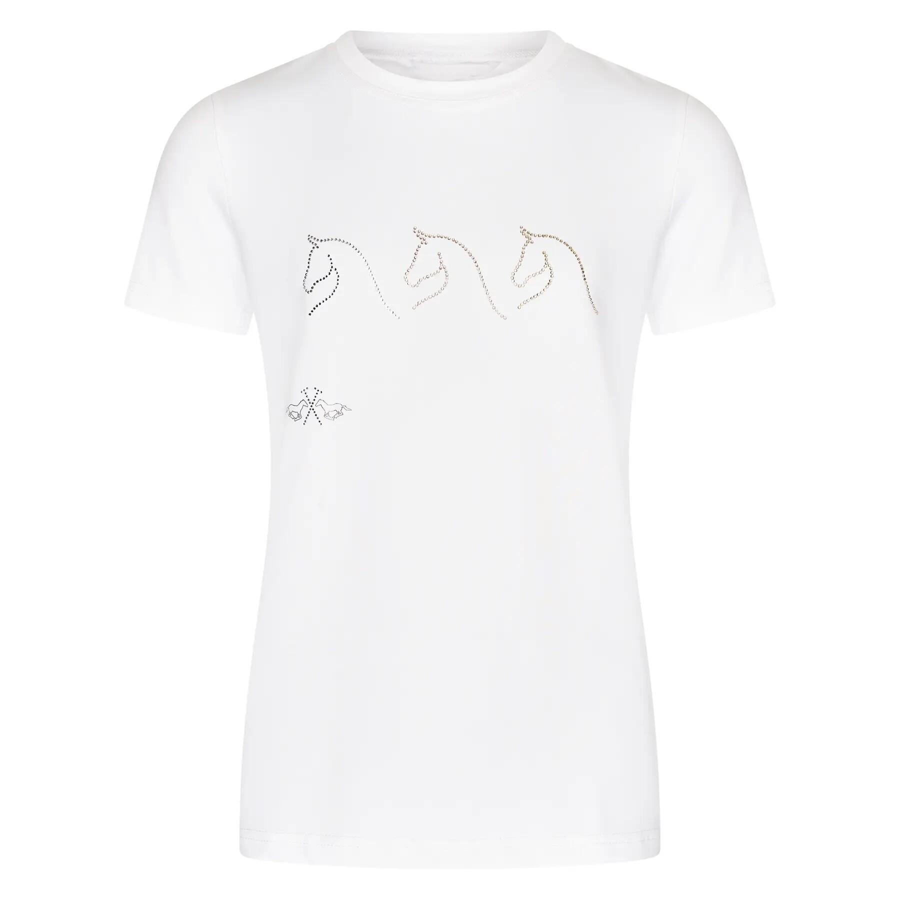 HV POLO picture