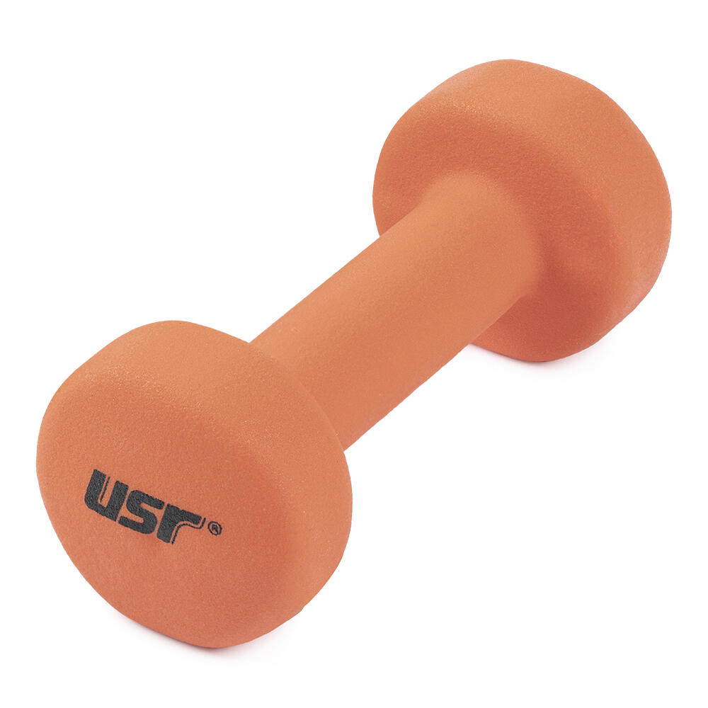 USR USR ND10 1 Kg Stüdyo Dambıl 1 Adet